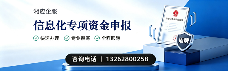 乐山信息化专项资金申报服务