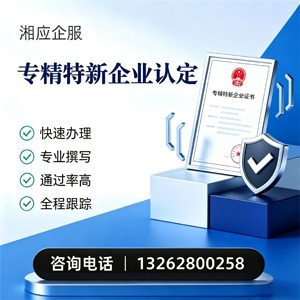 乐山专精特新企业申报服务
