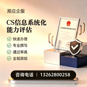 乐山CS信息系统化能力评估申报服务