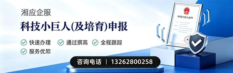 乐山科技小巨人及培育企业申报服务