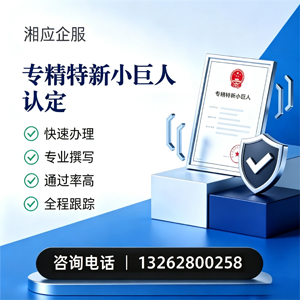 乐山专精特新小巨人申报服务