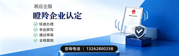 乐山瞪羚企业认定申报服务