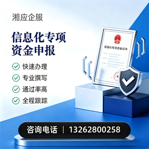 乐山信息化专项资金申报服务