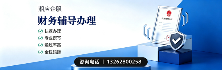 乐山财务辅导申请服务