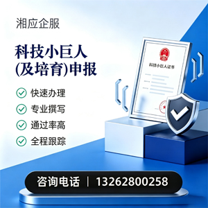 乐山科技小巨人及培育企业申报服务