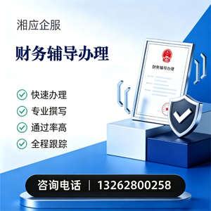 乐山财务辅导申请服务