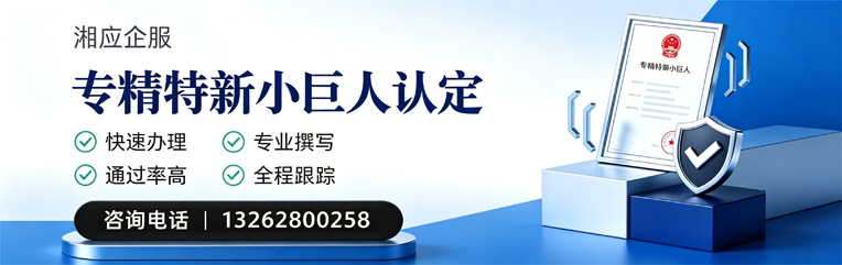 乐山专精特新小巨人申报服务